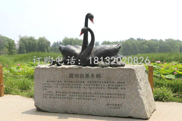 黑天鵝雕塑 玻璃鋼公園仿真動(dòng)物