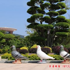 公園玻璃鋼仿真鴿子雕塑